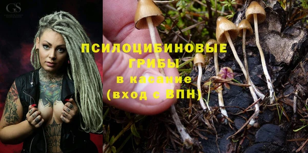 соль курить ск Алзамай