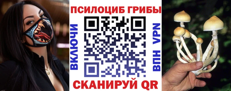 kraken ТОР  Апрелевка  Галлюциногенные грибы GOLDEN TEACHER 